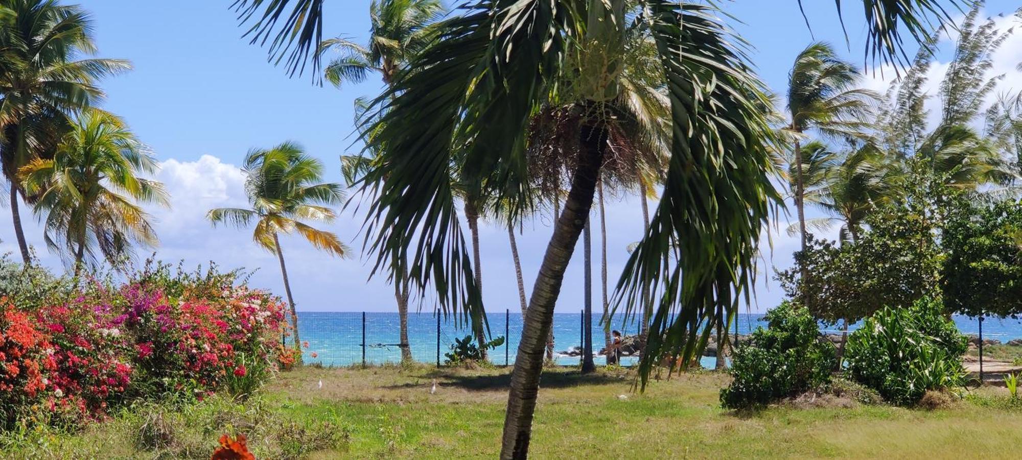 Parfum Des Iles - Vue Mer, Plage A 30M Et Piscine En Option Le Gosier  Exterior foto